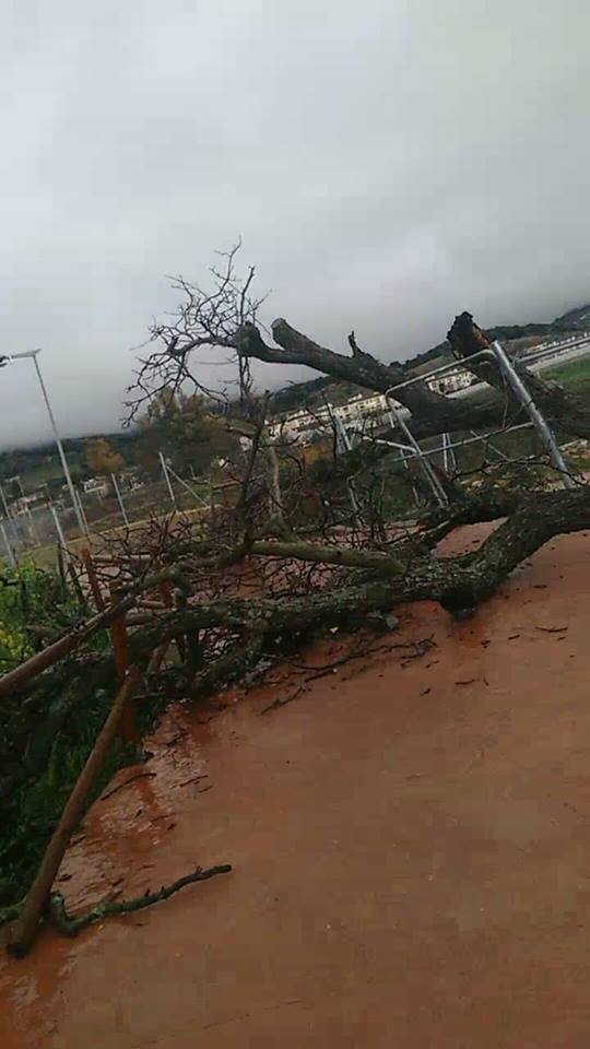 Efectos del vendaval en Cabra el 3 de febrero de 2017.